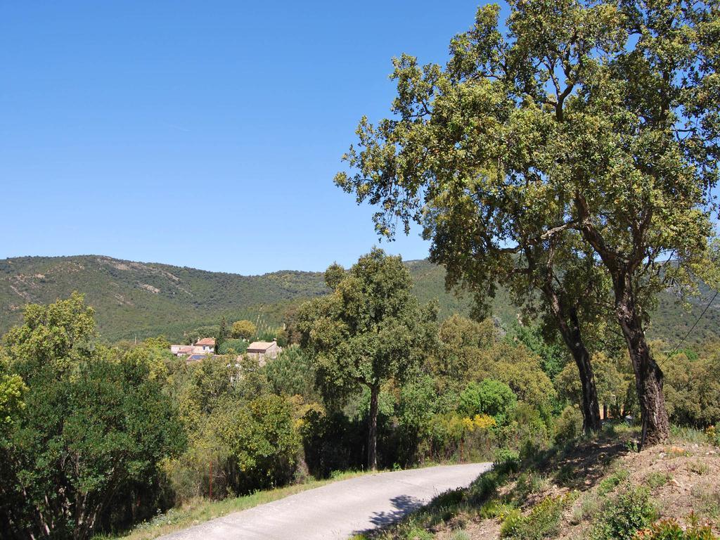 Villa Nais B&B Bormes-les-Mimosas Exterior photo